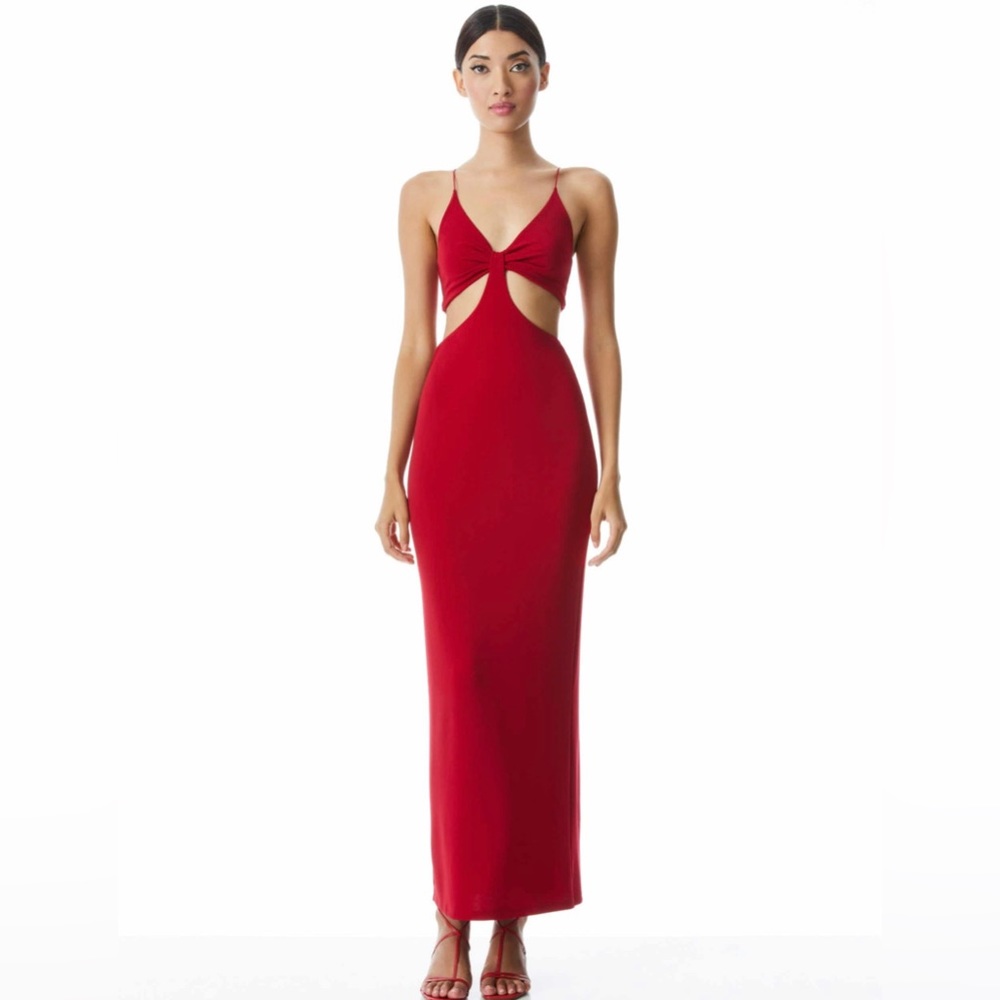 Havana Alice and Olivia Dress